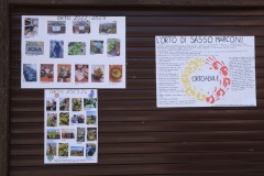 20230624_SF_Festa-di-Solidarieta-Familiare-06